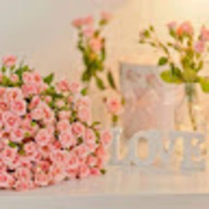 Meet your Posher, Patricia